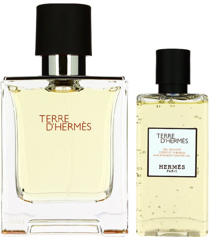 Hermes - Terre D'Hermes - Geschenkset - 100 ml EDP - 30 ml Navulbaar
