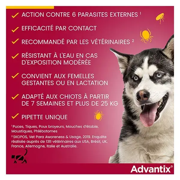 Advantix Solução para Tratamento de Pulgas e Antipulgas em Cães de Grande Porte (25-40kg) - 6 pipetas