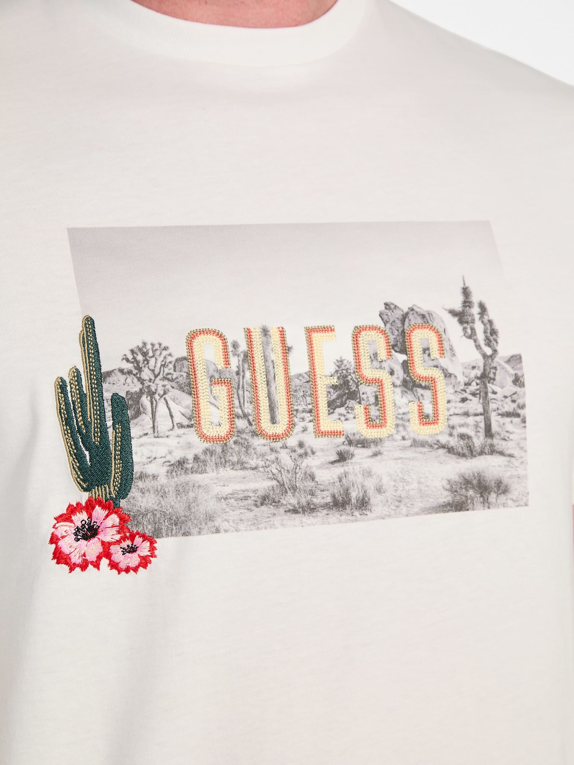 Camiseta bordada com estampa de jardim de cactos ecológicos