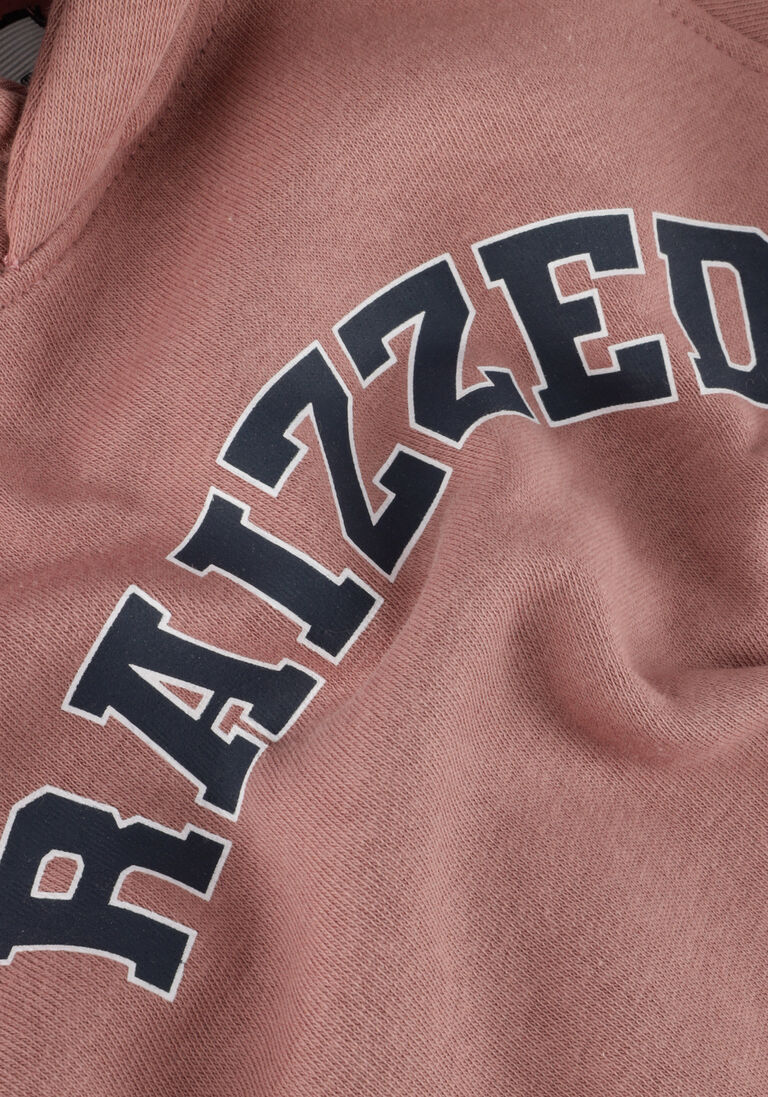 RAIZZED roze raizzed sweater charlotte