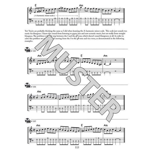Mel Bay The Mandolin Picker`s Guide