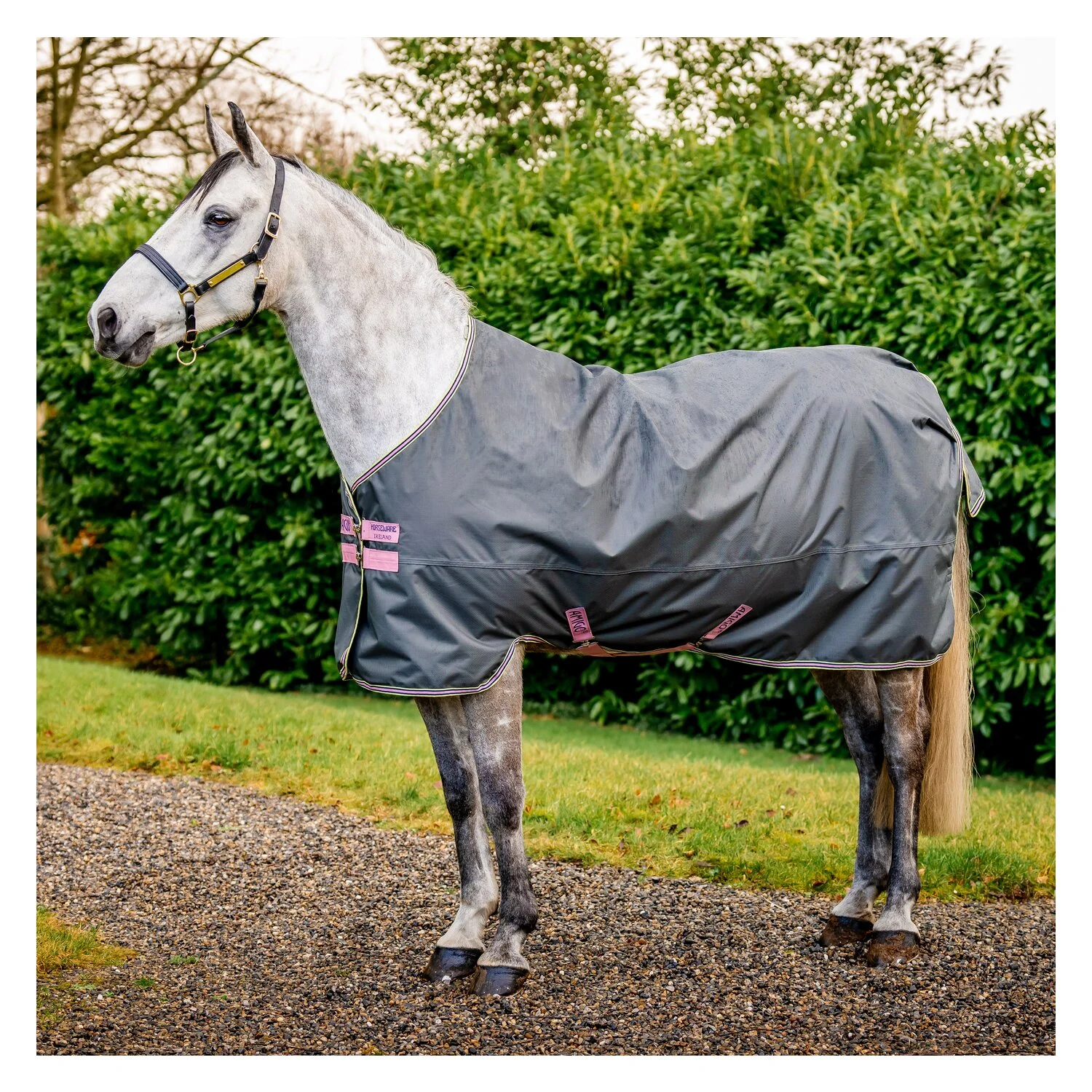Horseware Outdoordecke AMIGO Hero Ripstop Lite - shodow / rose & navy