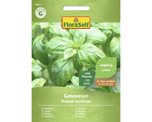 Genovese Basilicum FloraZelfopen-bestuivingszaden Kruidenzaden