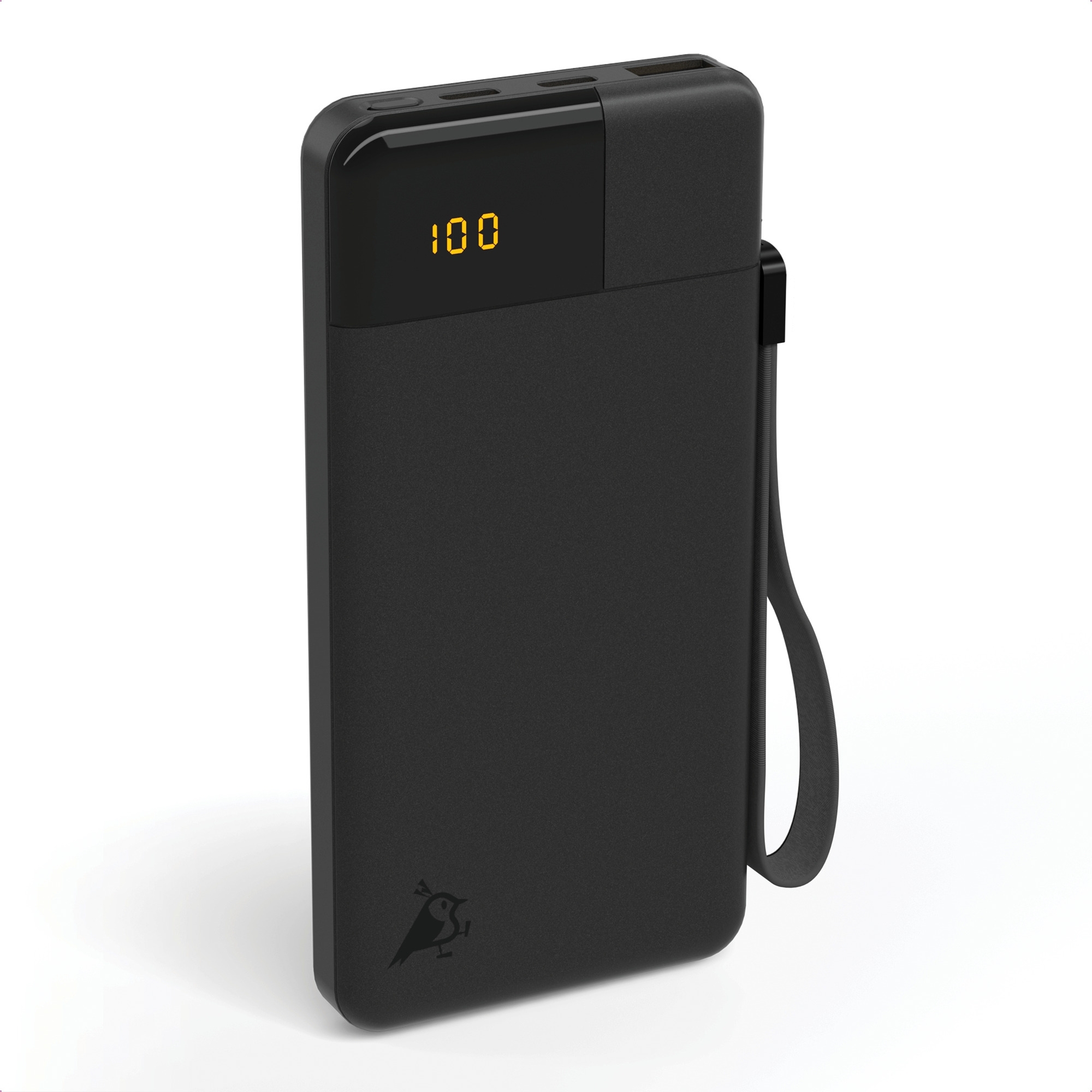 Aqiila Powerbird Powerbank 20 W 10000 mAh schwarz