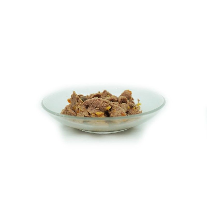 Bellfor Chihuahua Futter Set für Hunde
