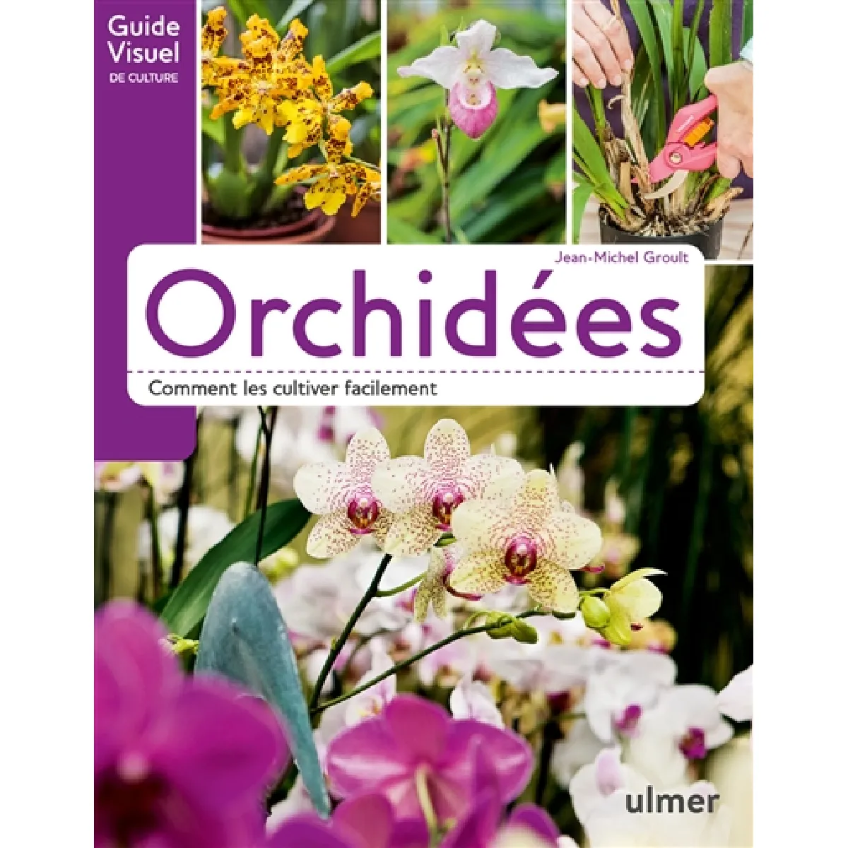 Orchidées : comment les cultiver facilement · Occasion