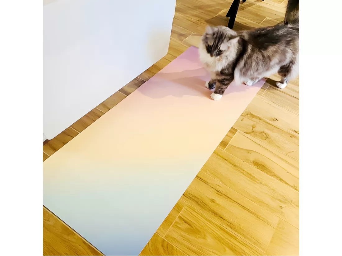 Tapis Vinyle Médium l 50xL120cm - Rainbow - Vinyle