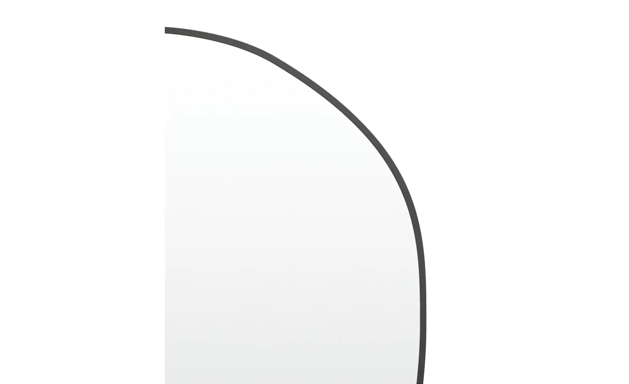 Spiegel 24 x 49 cm