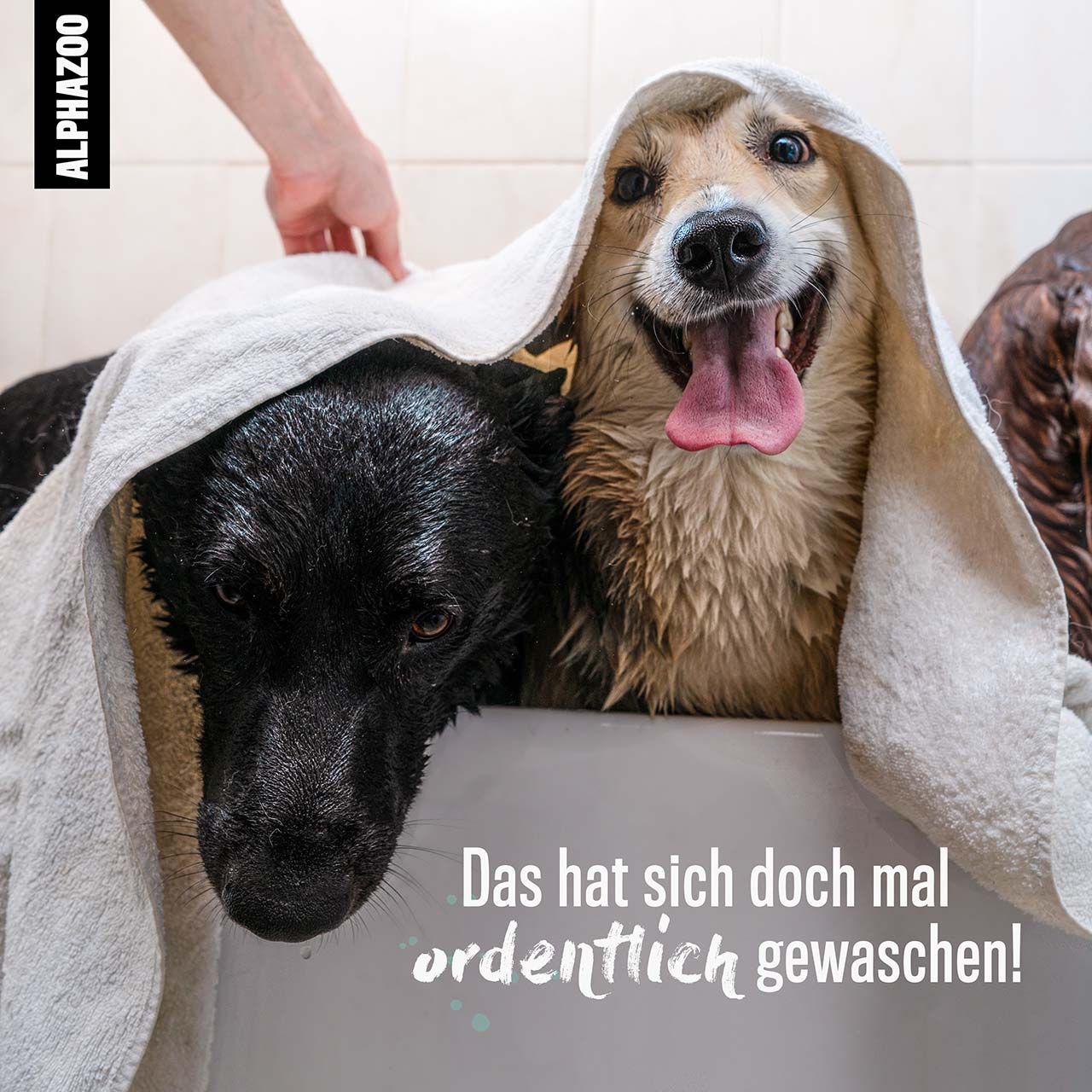 ALPHAZOO Bye-Bye-Vloh Shampoo für Hund & Katzen