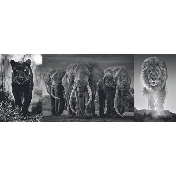 Puzzle triptyque 1000 pièces Panthère, éléphant, lion