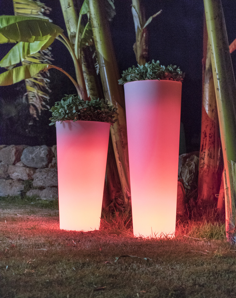 Pot lumineux ficus 60 solaire+batterie rechargeable led rgb avec télécommande ø29x59cm