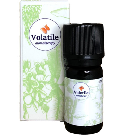 Volatile Eucalyptus Radiata Bio (10 ml)