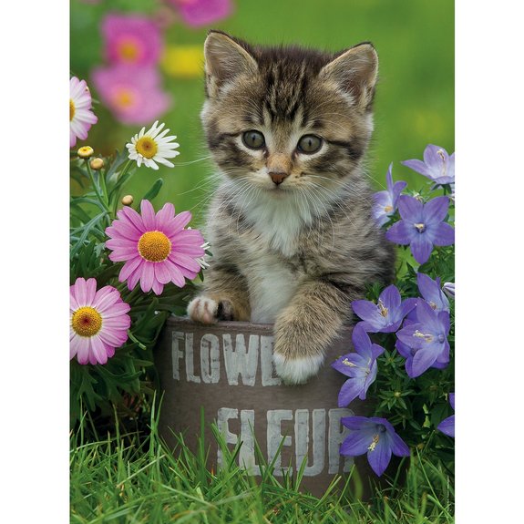Puzzle 100 pièces Ravensburger - Chaton parmi les fleurs