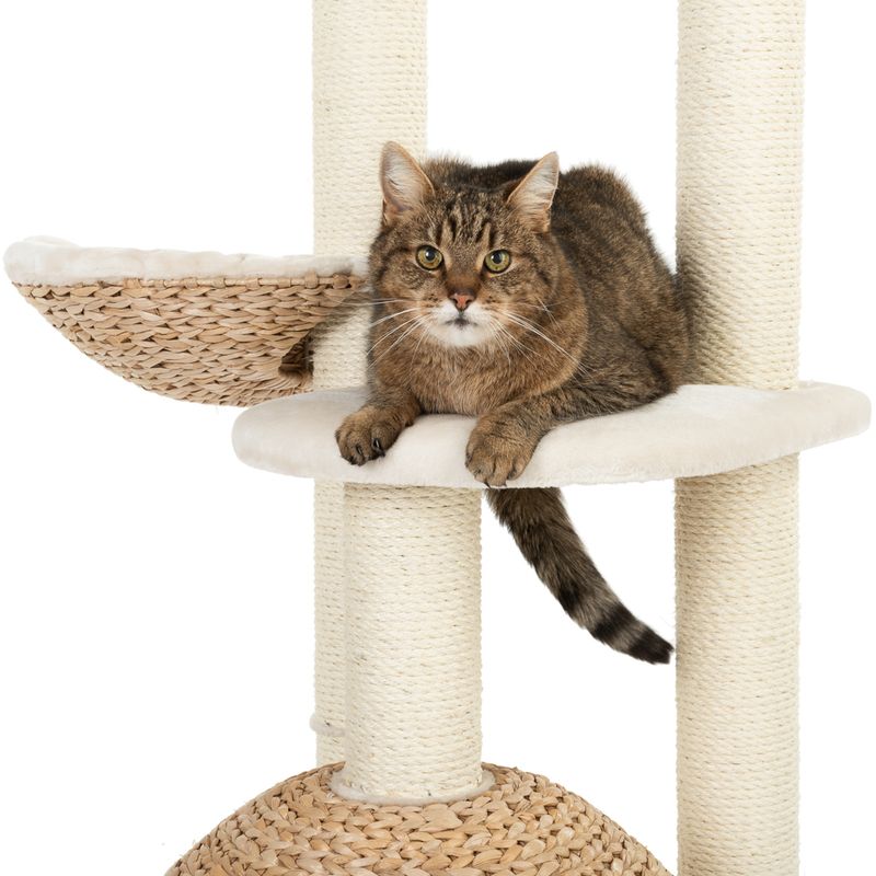 Arbre à chat Laguna