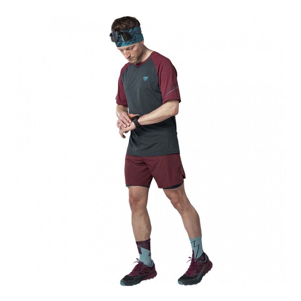 Dynafit ALPINE PRO - Maillot Homme blueberry burgundy