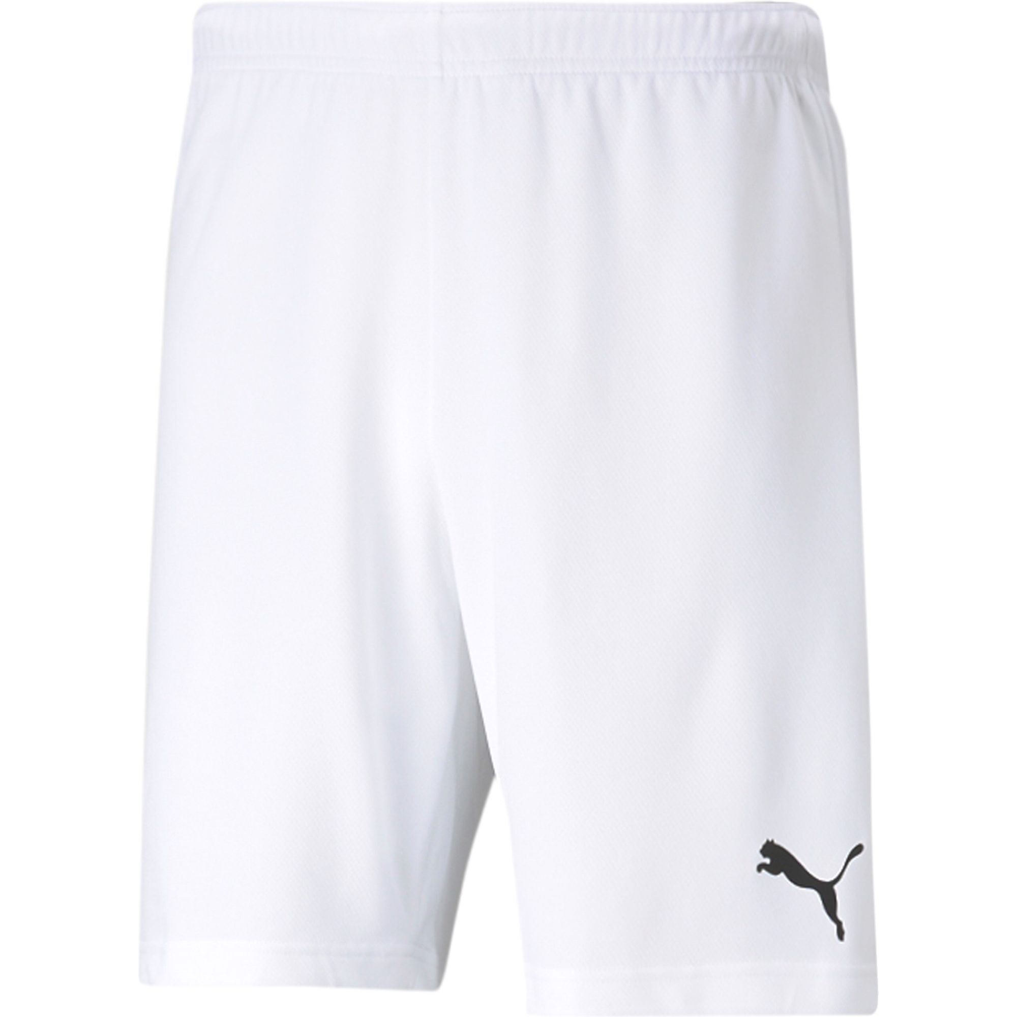 PumateamRISE Shorts