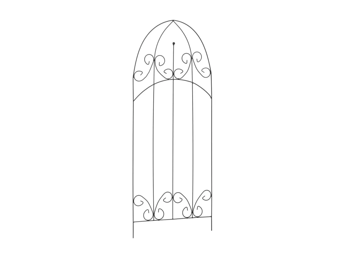 Supports pour plantes grimpantes 3 pcs Noir 40x100 cm Fer