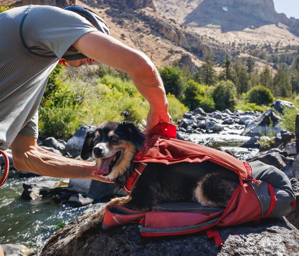 RUFFWEAR® Hunde-Rucksacktrage Hitch Hiker™