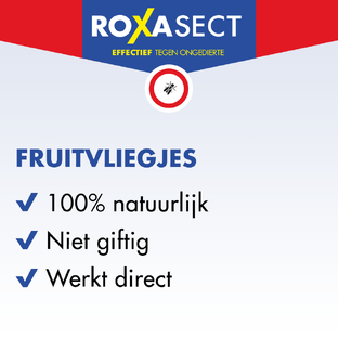 Roxasect Fruitvliegjes 1ST