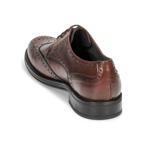 Carlington - LOUVIAN - Marron