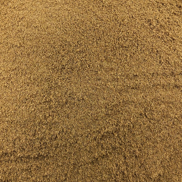 Coriandre Poudre Bio en Vrac 500g Vrac Bio