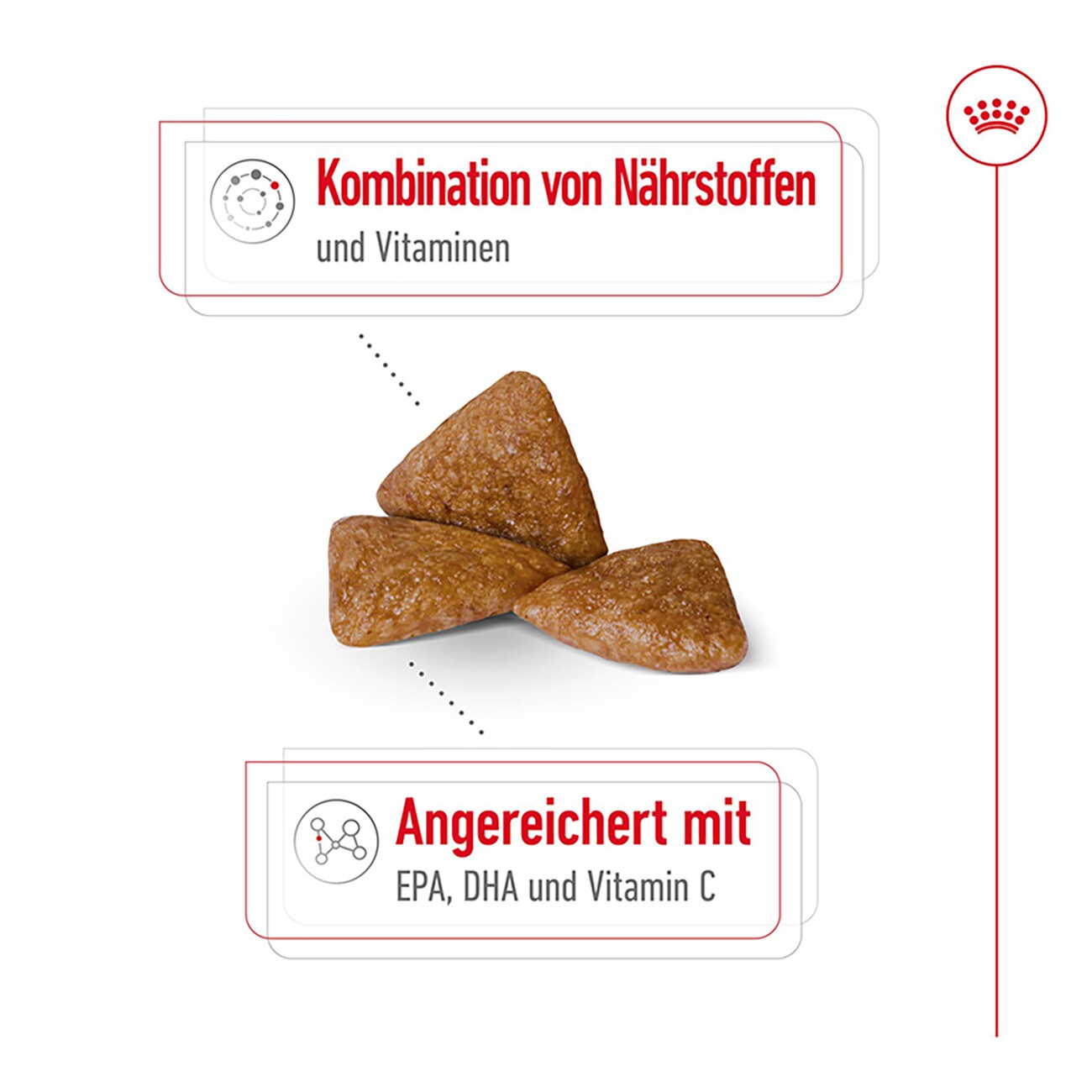 ROYAL CANIN X-Small Ageing 12+ 1,5 kg
