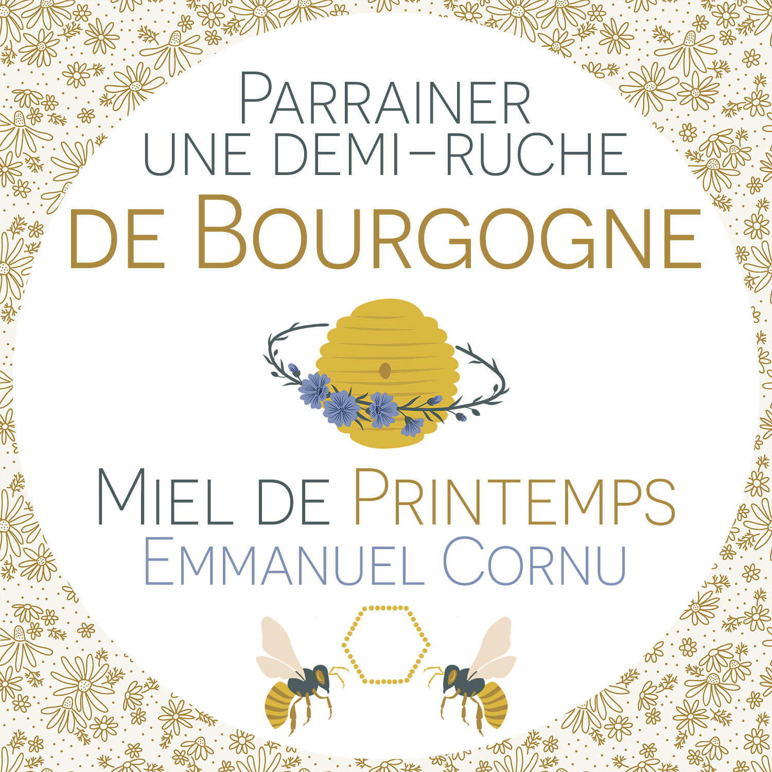 Parrainer une demi-ruche de Bourgogne : Miel de printemps - Récolte 2024