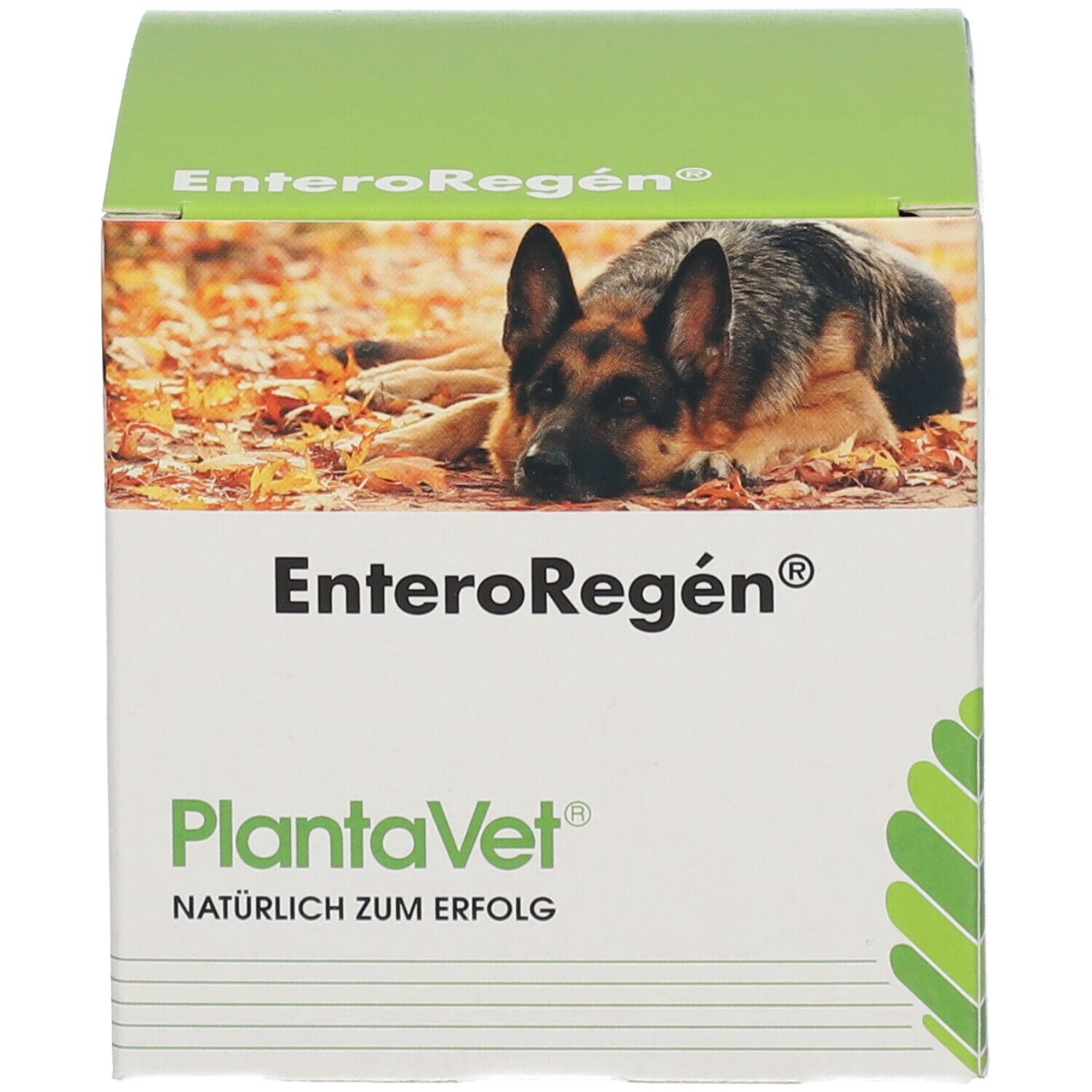 EnteroRegén® - Dose Tabletten