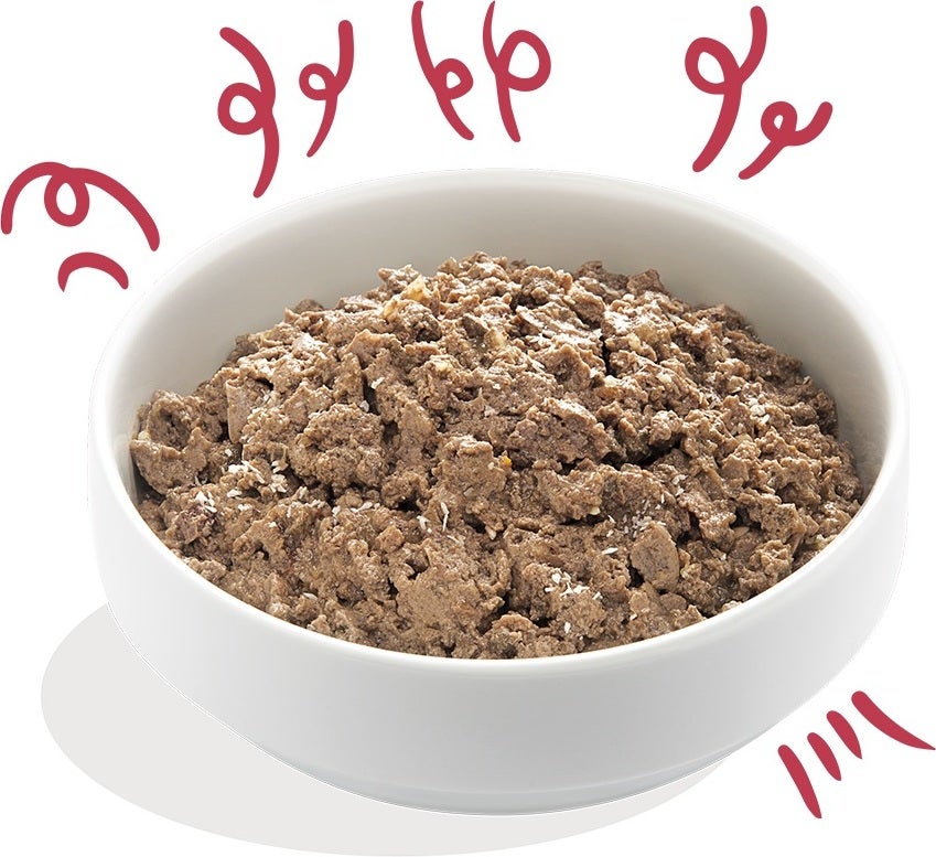Edgard & Cooper hondenvoer Bio rund adult 100 g
