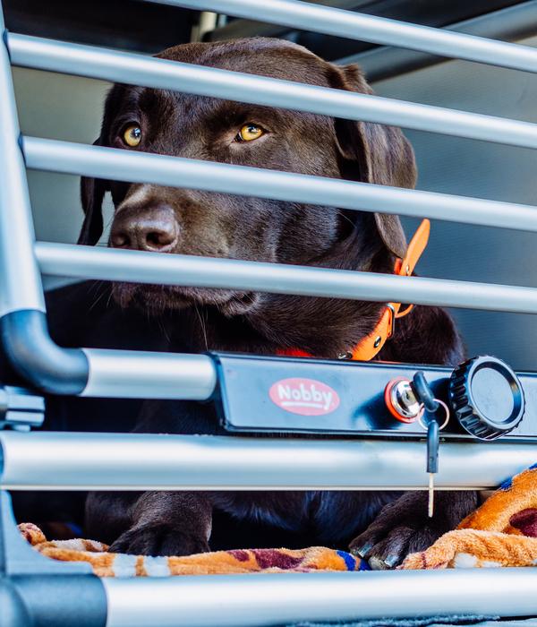 Nobby Hundetransportbox Round Corner
