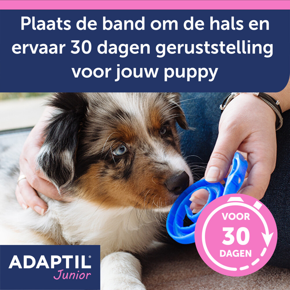 Adaptil Anti-stress Halsband Junior