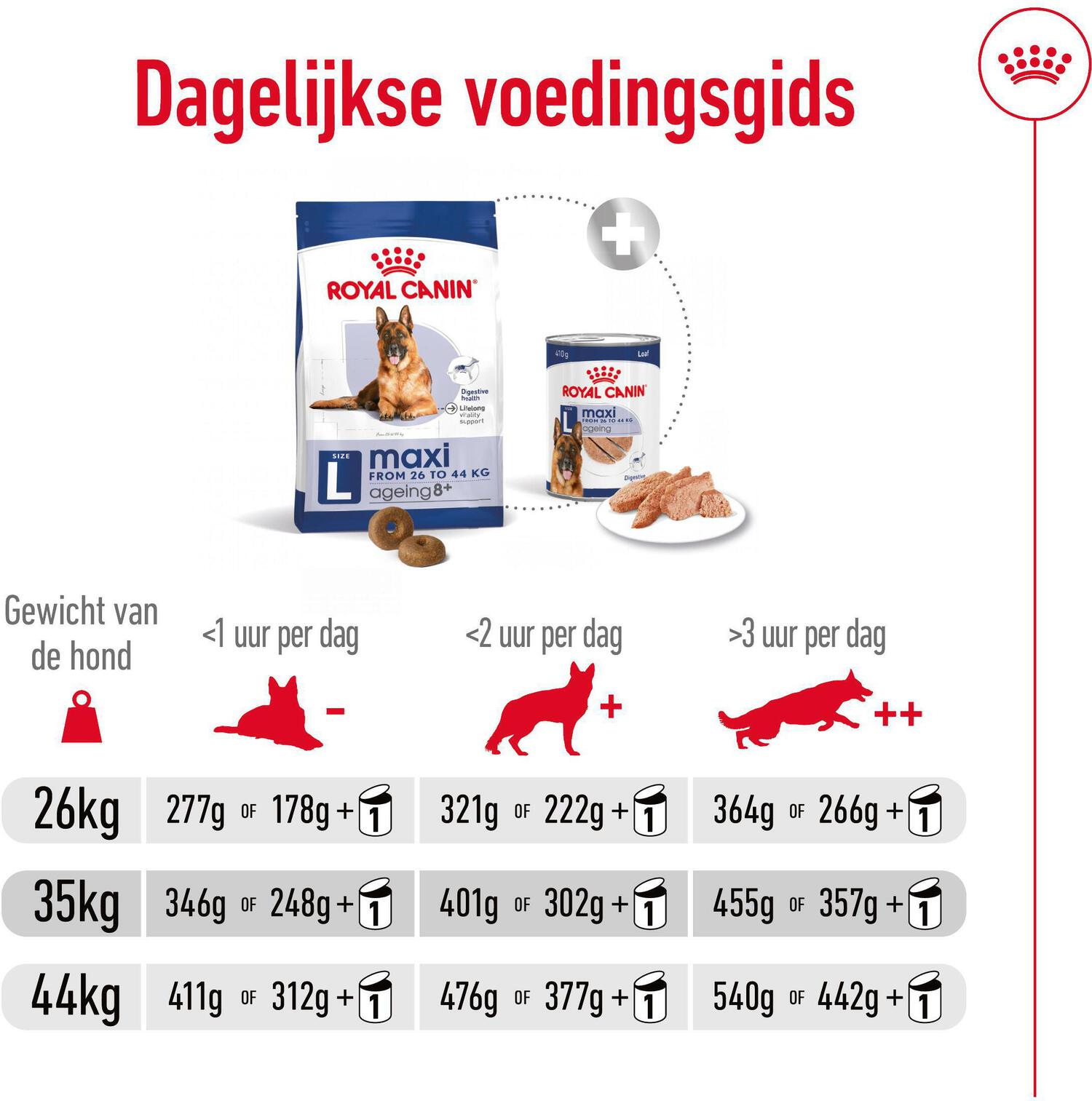 Royal Canin hondenvoer Maxi Ageing 8+ 3 kg