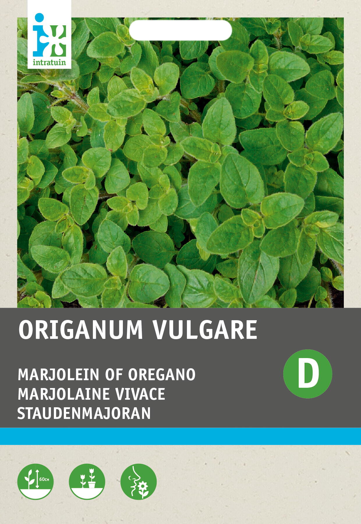 Intratuin kruidenzaad Marjolein (Origanum vulgare)