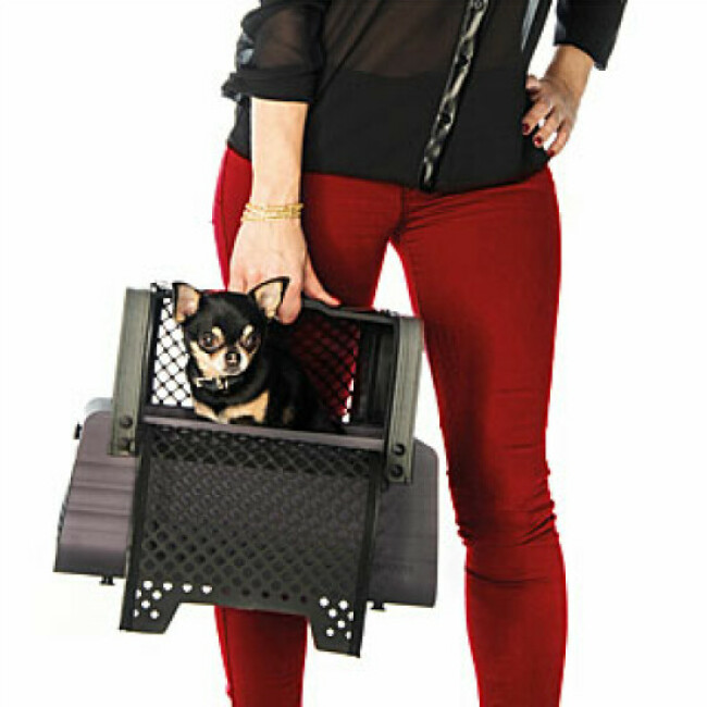 Penthousebox Montreal 4Pets pour chat ou petit chien