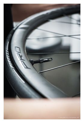 Paire de Roues Legend Wheels 35P Pro⁴ - 12X100 - 12X142mm - DT 240 EXP - Disc Centerlock - Shimano / Sram