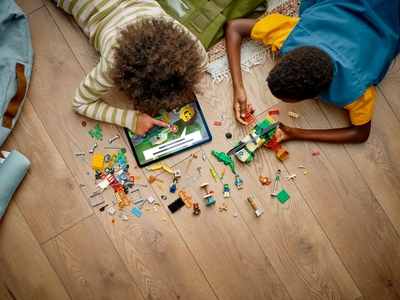 LEGO Wilde dieren reddingsmissies (60353)