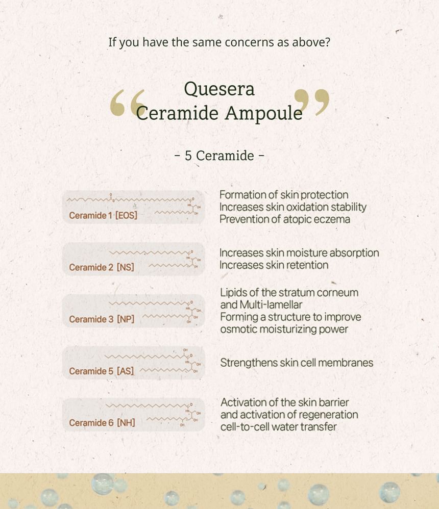 DE PLANTENBASIS - Quesera Ceramide-ampul