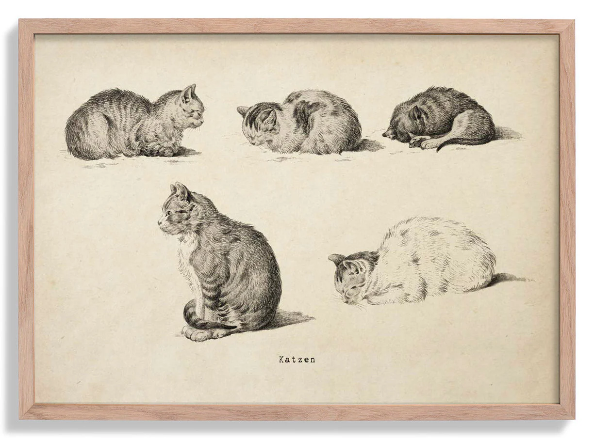 Antike Katzen