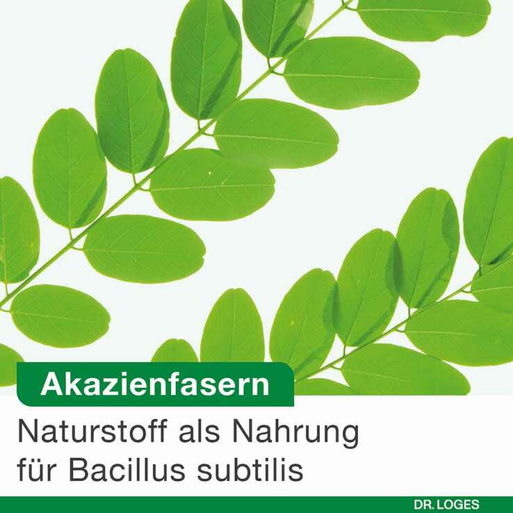 Bioticloges subtilis Kapseln, 15 St