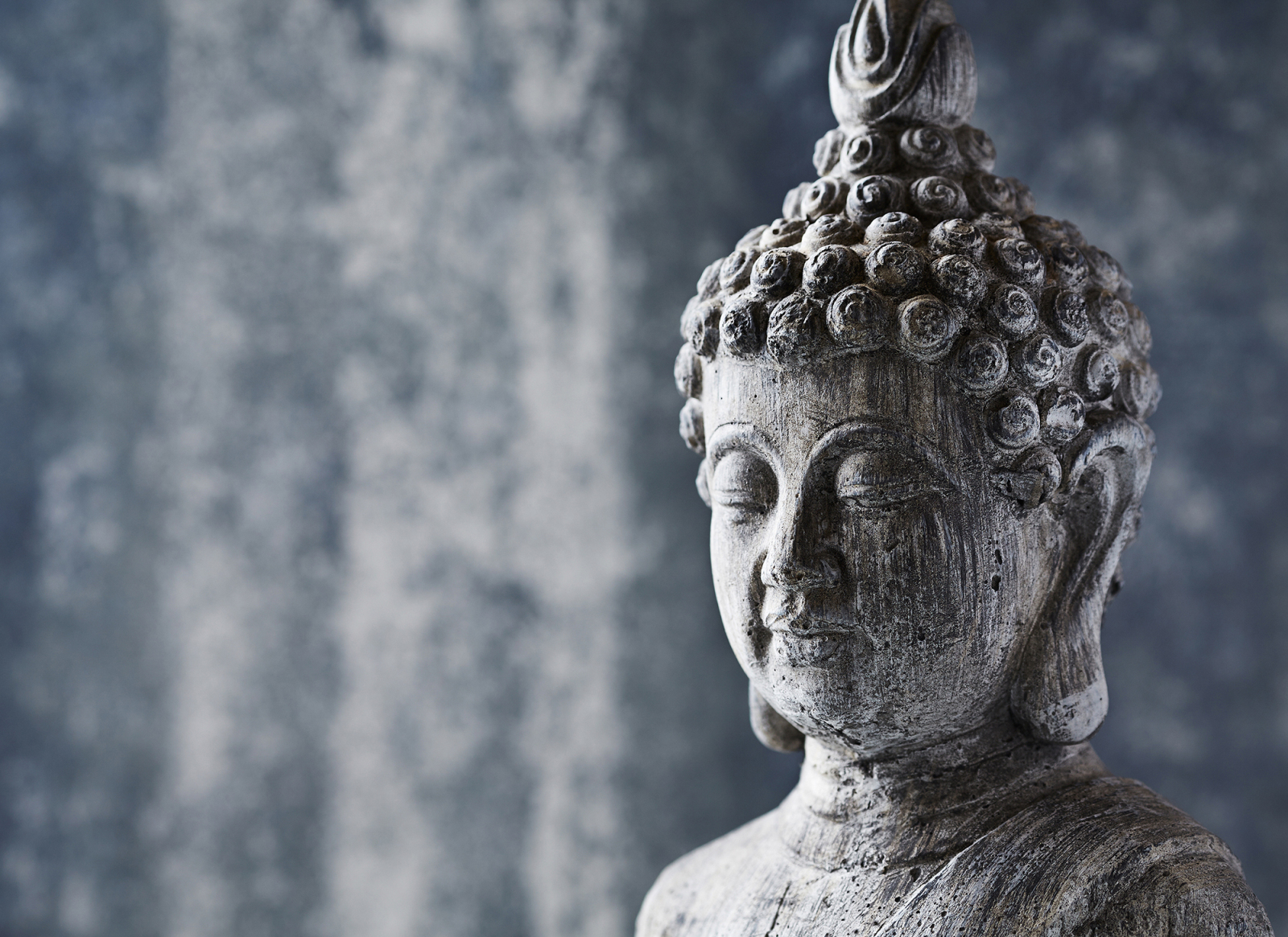 Fototapete DESIGNWALLS - blau-grau - Buddha - 2,55 Meter