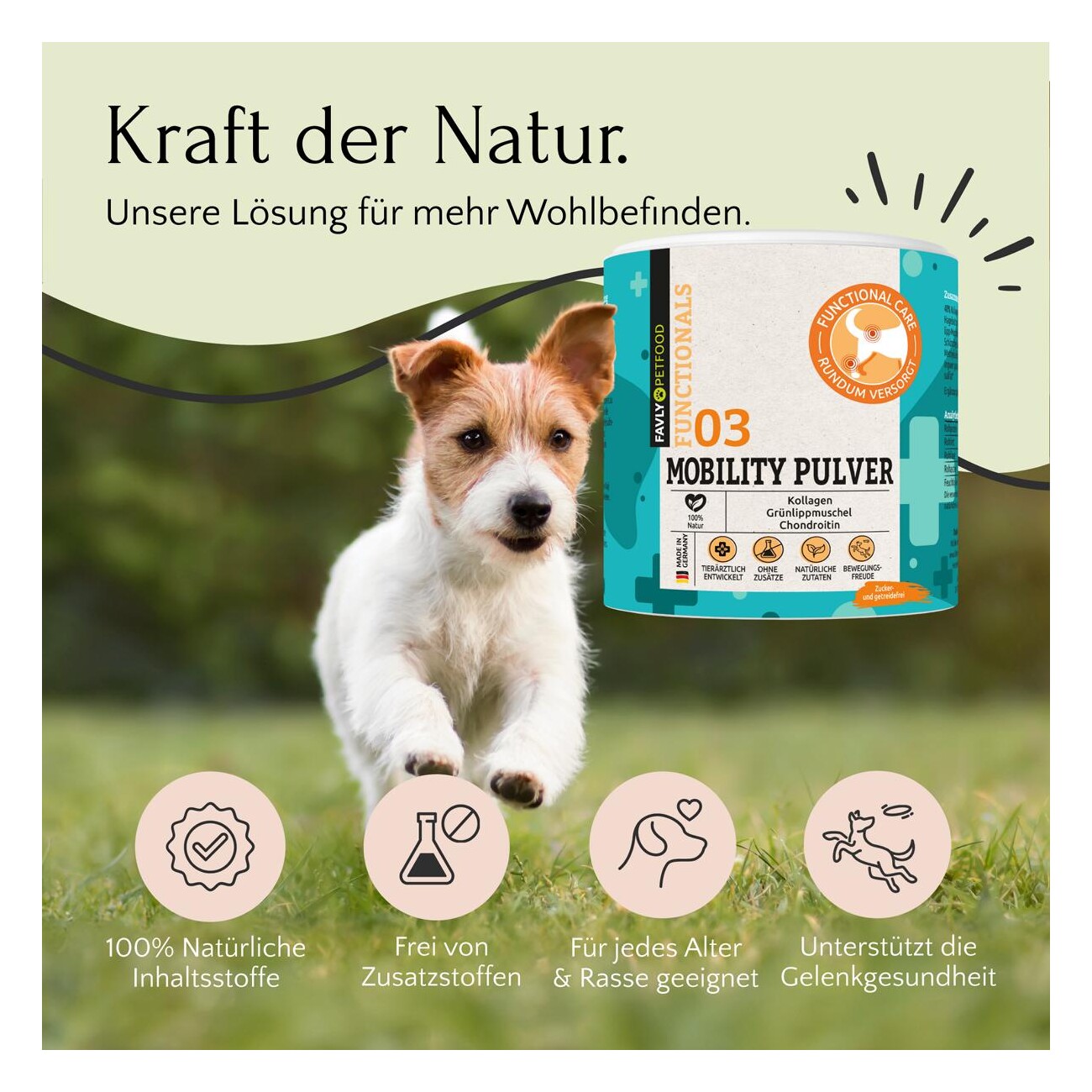 FAVLY Petfood MOBILITY Pulver 250 g