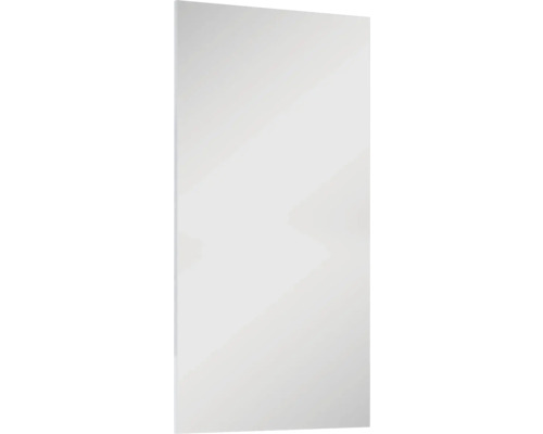 Jungborn badkamerspiegel 50x100x1,9 cm