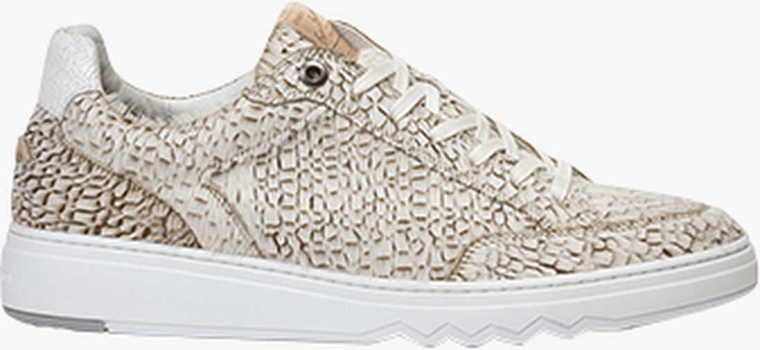 FLORIS VAN BOMMEL taupe floris van bommel lage sneakers sfm-10174