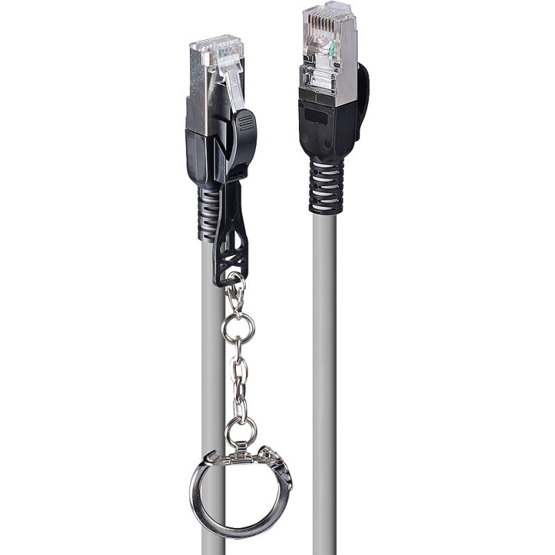 Lindy Câble réseau sécurisé Cat.6A S/FTP LSZH, gris, 2m