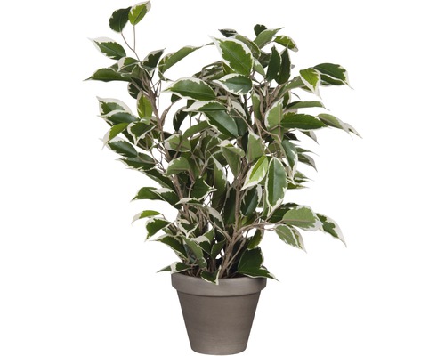 Kunstplant Ficus natasja (treurvijg) Ø 30 H 40 cm groen-veelkleurig