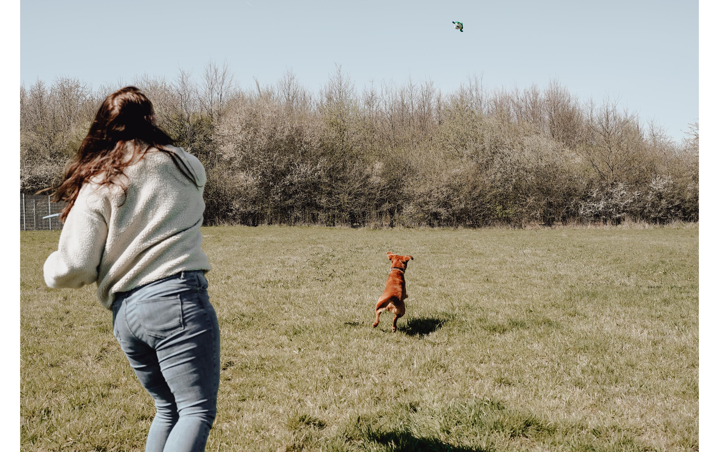 Hunde-Spielzeug Flingerz Splash Schildkröte, Blau/GrünWurf-Hundespielzeug