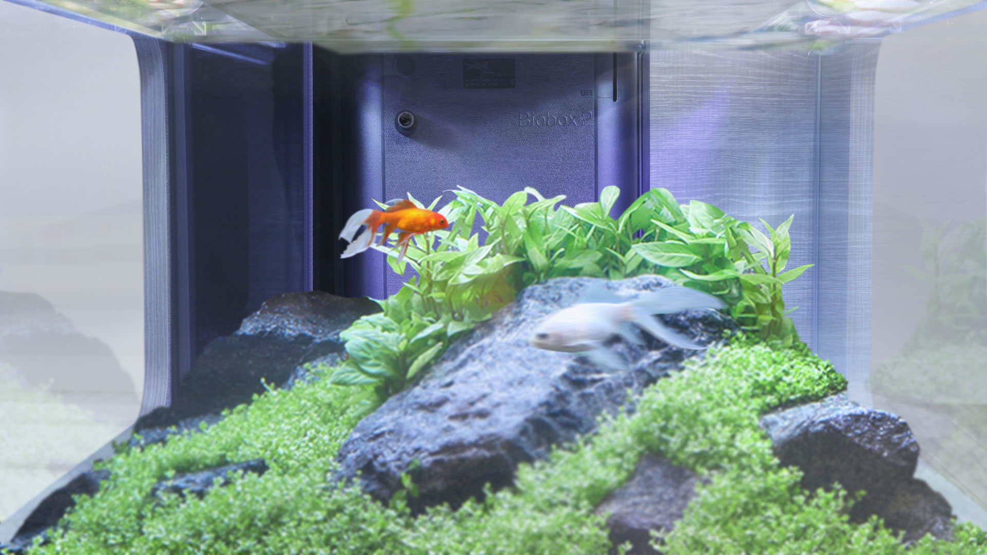 Aquatlantis Binnenfilter Systeem BioBox Nr. 3
