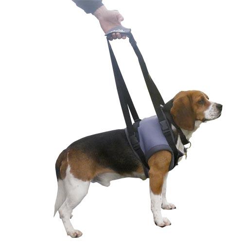 Canguru para transporte - Arnês de mão para cães com paralisia nas patas dianteiras ou traseiras HANDY CANIS disponível em vários tamanhos Tamanho XS