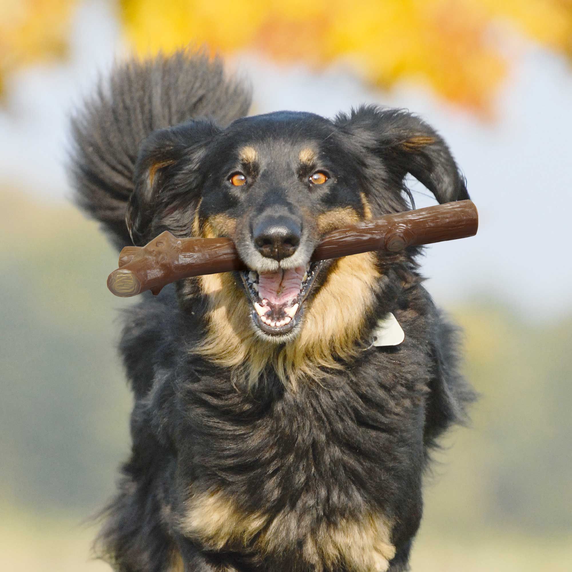 Hundespielzeug - Hol´s Stöckchen