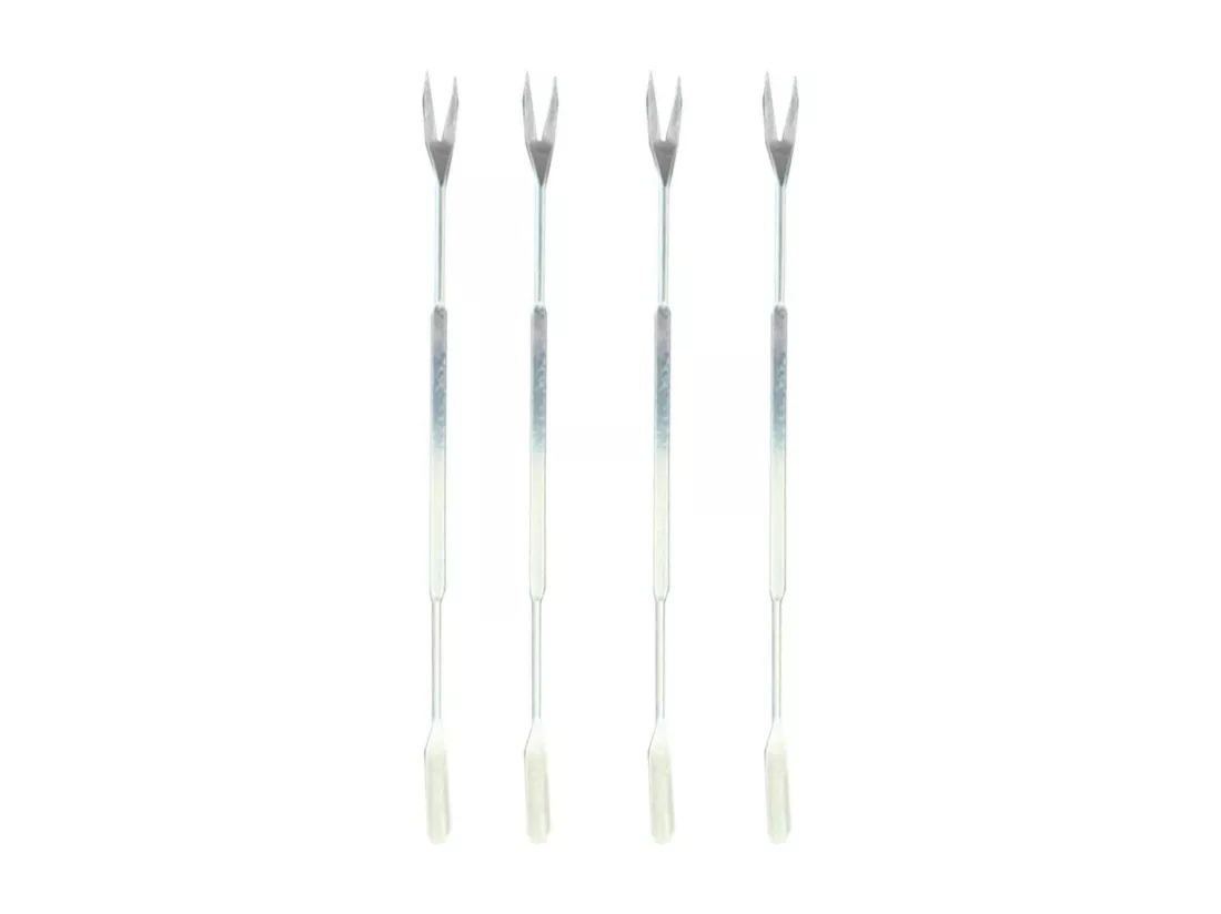 Lot de 4 Curettes à Crustacés 